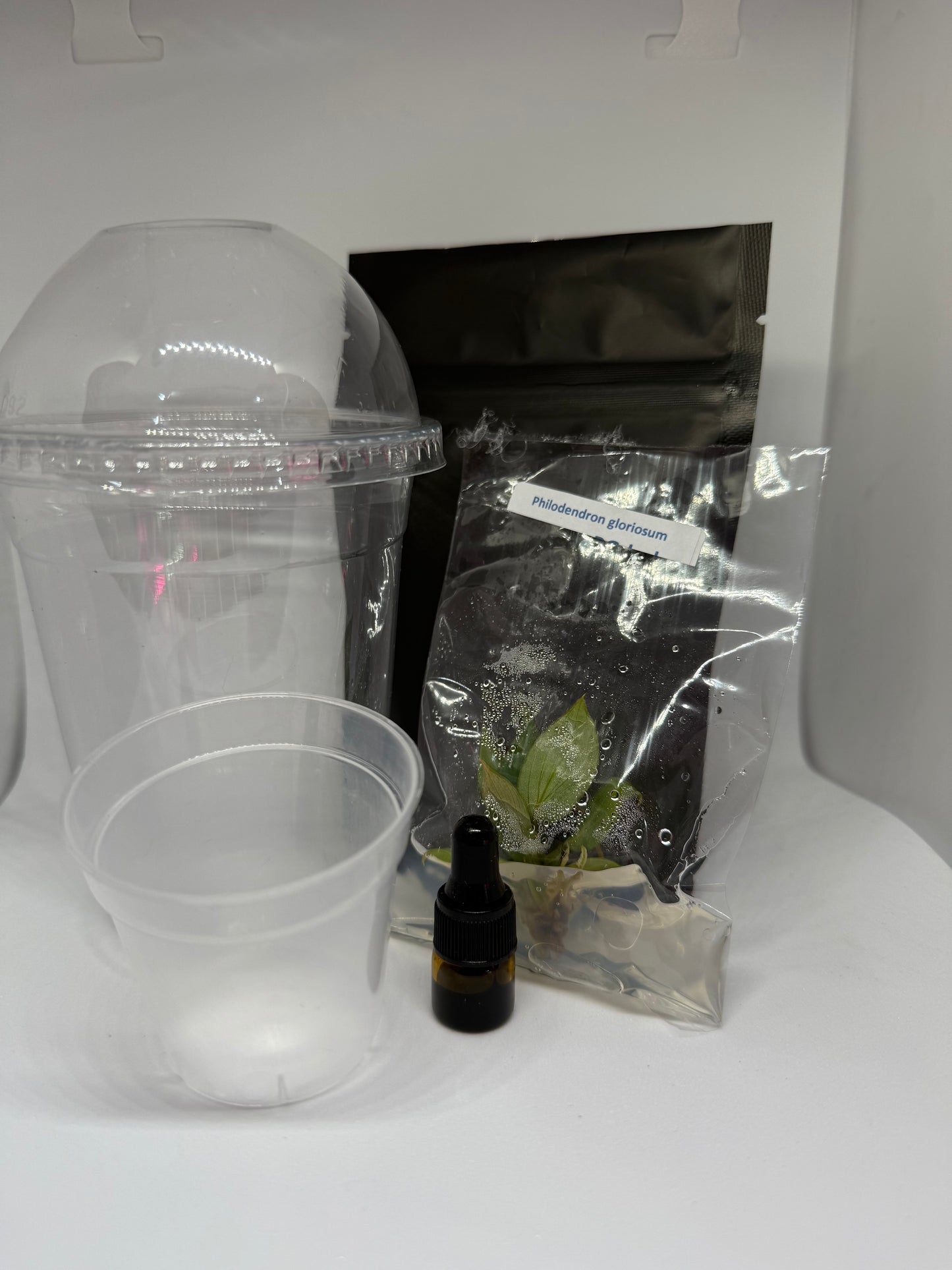 Jungle Acclimation Kit #1- Everything you need to start your plant journey!